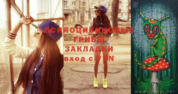 стаф Медногорск